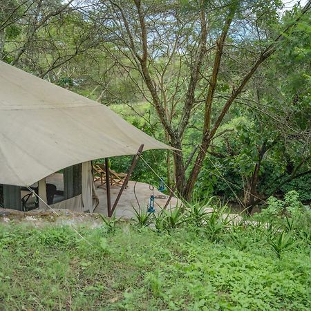 Dolly Farm & River Camp, Luxury Tents 育空河 外观 照片