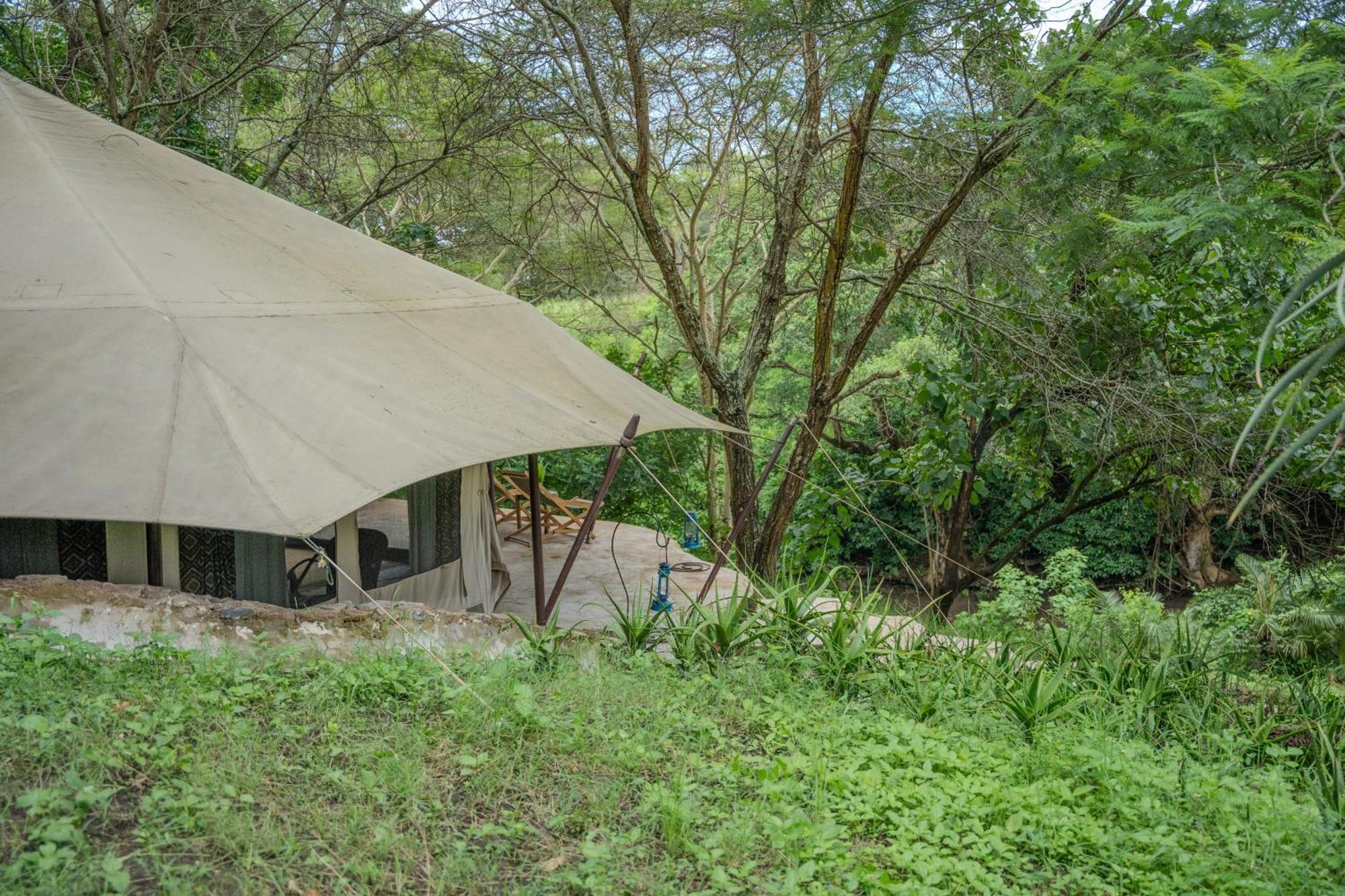 Dolly Farm & River Camp, Luxury Tents 育空河 外观 照片