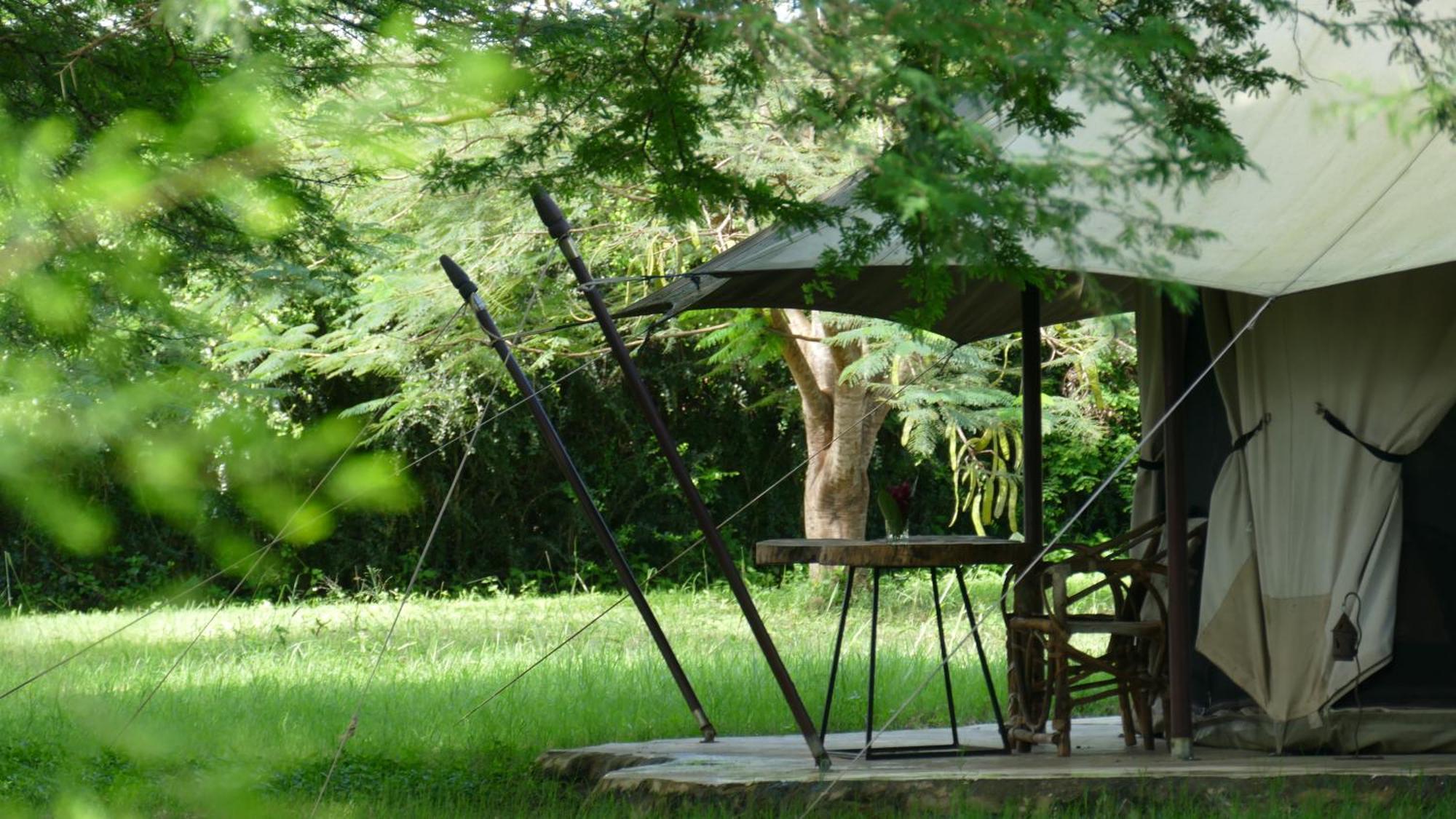 Dolly Farm & River Camp, Luxury Tents 育空河 外观 照片