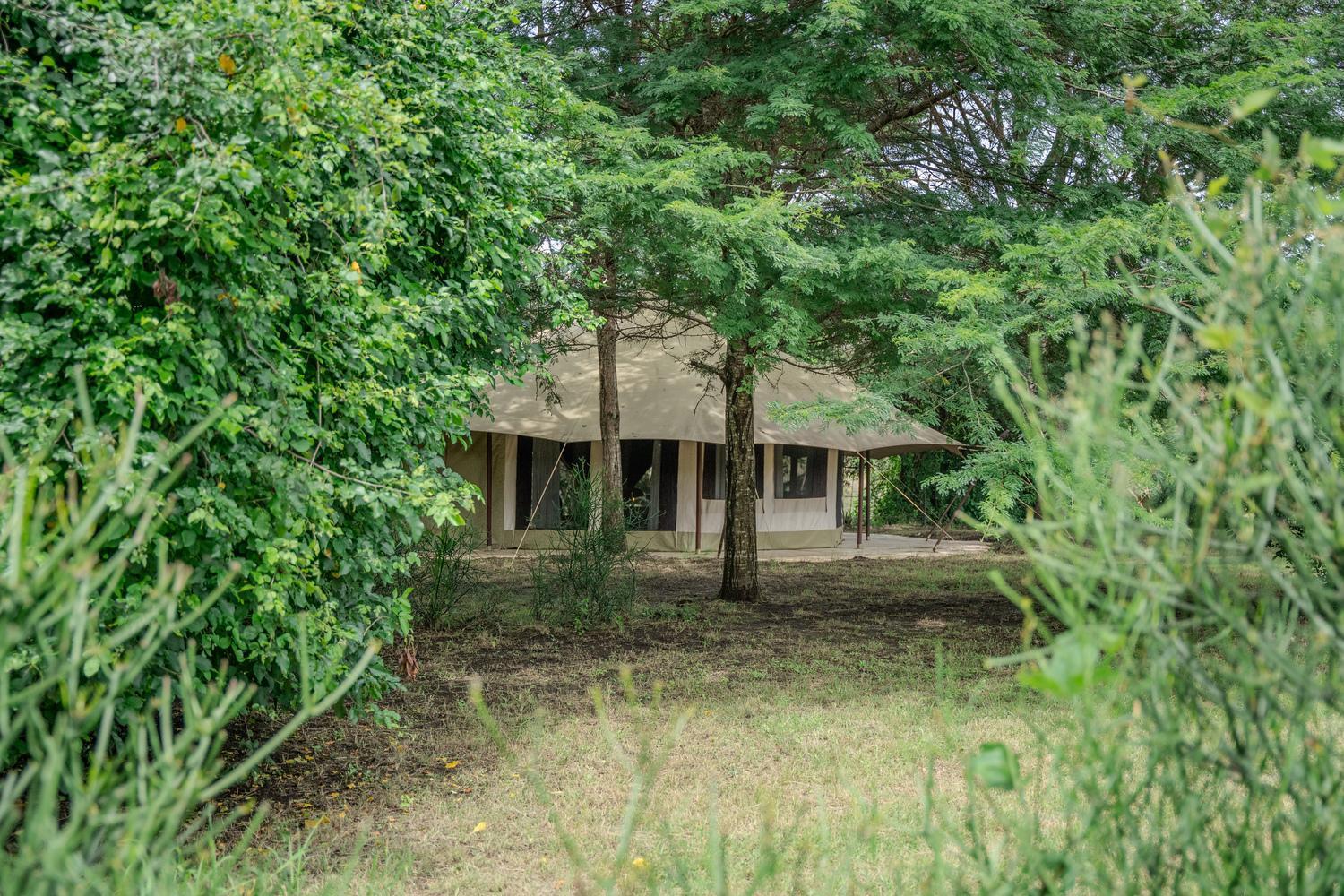 Dolly Farm & River Camp, Luxury Tents 育空河 外观 照片