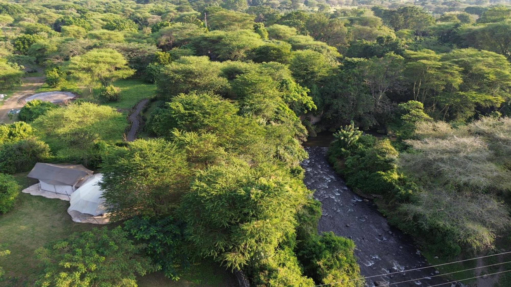 Dolly Farm & River Camp, Luxury Tents 育空河 外观 照片